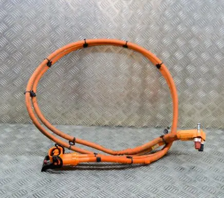 Audi e-tron Other wiring loom 4KE971025C