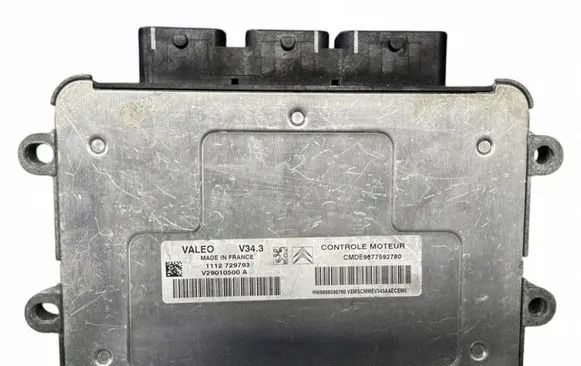 Peugeot 206 Engine control unit/module 9666596780
