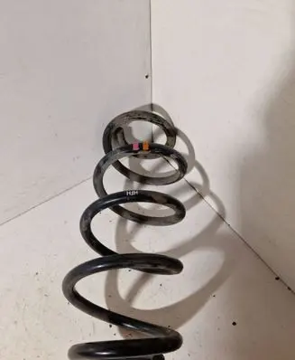 Rear coil spring