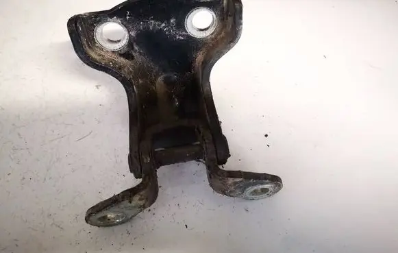 Rear door lower hinge