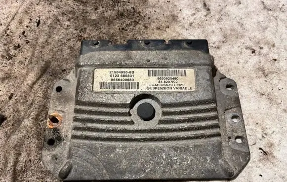 Peugeot 607 Engine control unit/module 9650920480 215849956B 5123685831