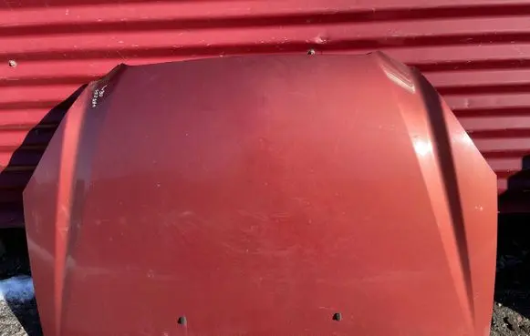 Engine bonnet/hood