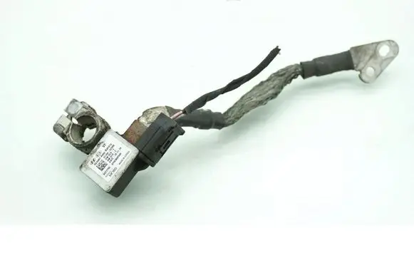 Other wiring loom