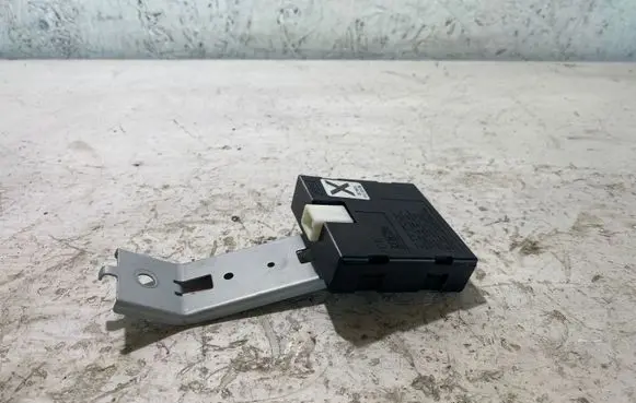 Nissan Leaf I (ZE0) Other control units/modules WC1G171A