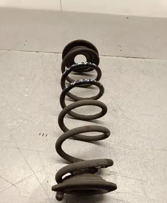 Rear coil spring