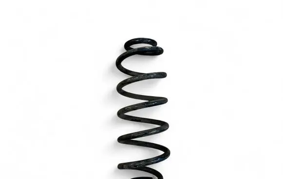 Rear coil spring