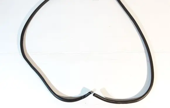 Nissan Juke II F16 Front door rubber seal