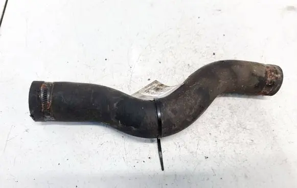 Peugeot Expert Engine coolant pipe/hose
