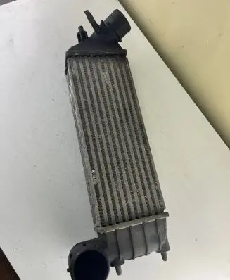Peugeot 807 Intercooler radiator 870229HF