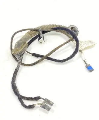 Rear door wiring loom