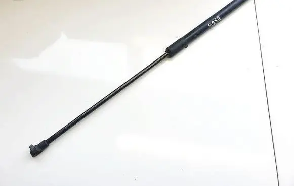 Tailgate/trunk strut/damper