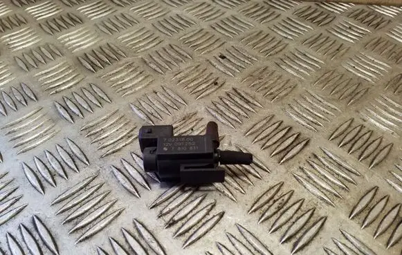 Vacuum valve