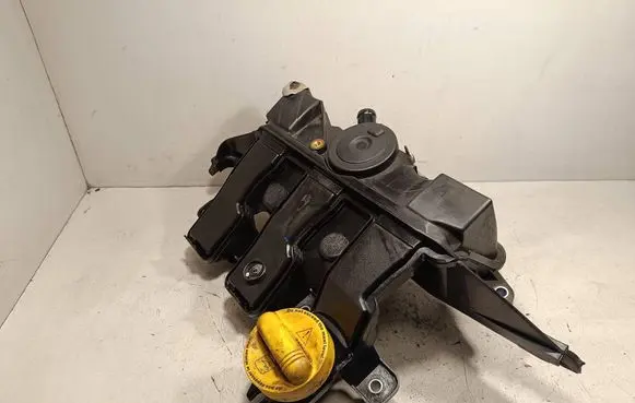 Nissan Qashqai Intake manifold 118305906R
