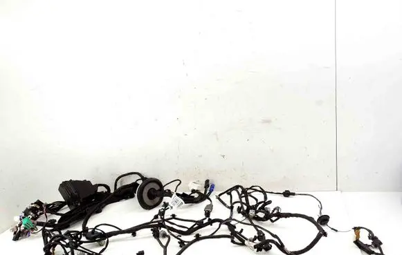 Nissan Juke II F16 Engine installation wiring loom CE2574PH2C 2574PH2C