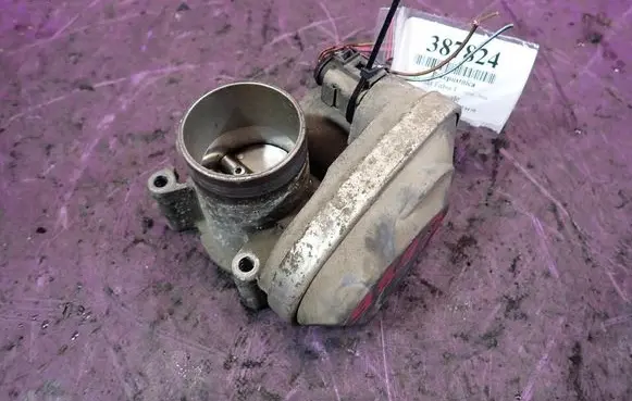 Skoda Fabia Mk1 (6Y) Throttle body valve 