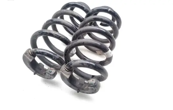 Volkswagen ID.4 Rear coil spring 90296501