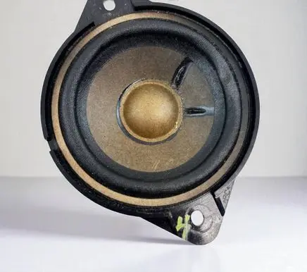 Panel speaker