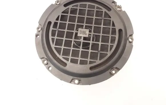 Rear door speaker