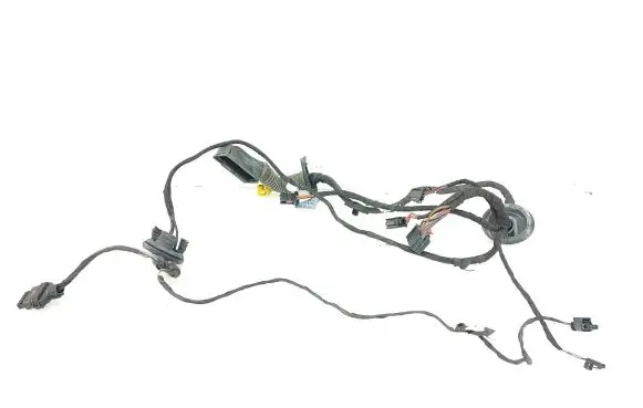 Audi A4 S4 B8 8K Front door wiring loom 8K0971030AJ 31072009 TAB010766RB