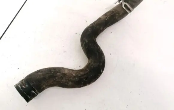 Peugeot 406 Engine coolant pipe/hose