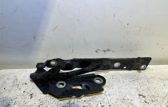 Tailgate/trunk/boot hinge