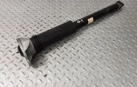 BMW X1 U11 Rear shock absorber/damper 5A28A89 33505A28A89