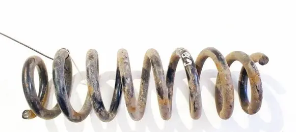Rear coil spring