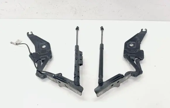 Engine bonnet/hood hinges