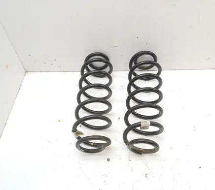 Rear coil spring