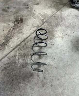 Rear coil spring
