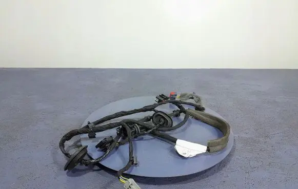 Volvo XC60 Other wiring loom 31676180