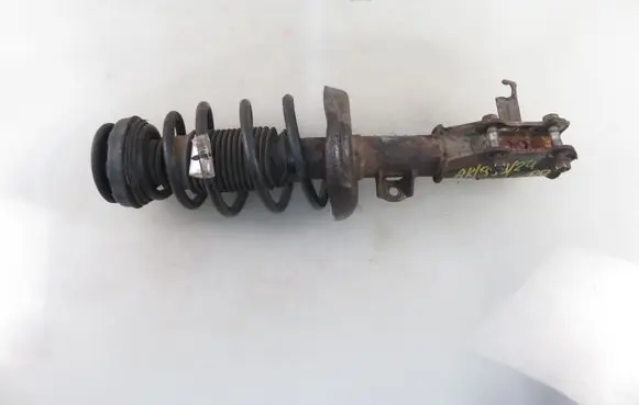 Opel Insignia A Front shock absorber with coil spring 