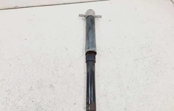 Ford Escape IV Rear shock absorber/damper LX6118080 LX6118080NBF GQXWF