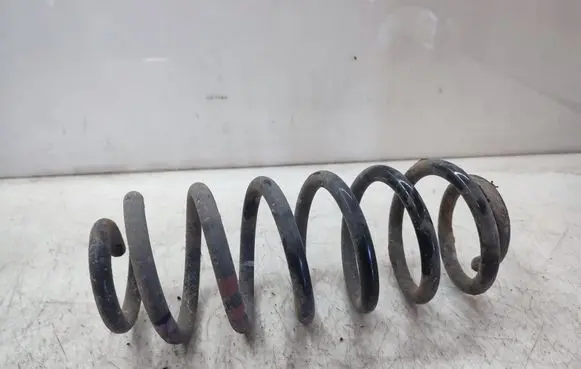 Rear coil spring