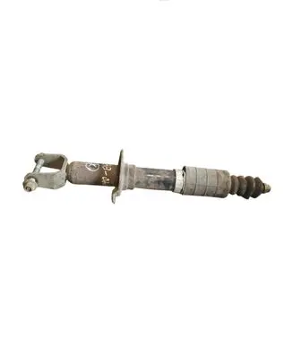Subaru B9 Tribeca Rear shock absorber/damper