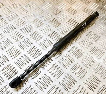 Tesla Model 3 Tailgate/trunk strut/damper 109156000B