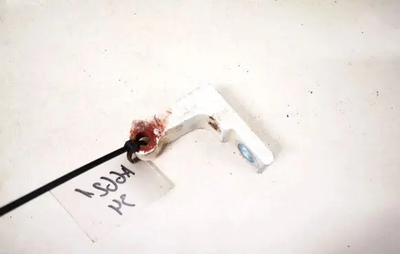 Fiat Doblo Front door upper hinge