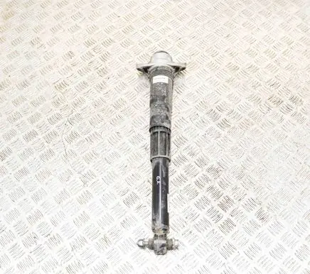 Volkswagen ID.3 Rear shock absorber/damper 1EA513423F 1EA512011AD