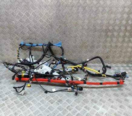 Tesla Model Y Other wiring loom 248904102A