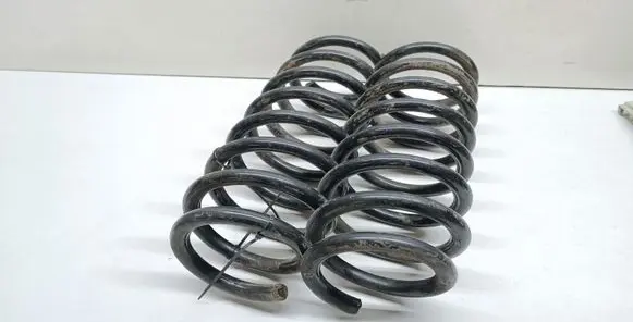 Rear coil spring