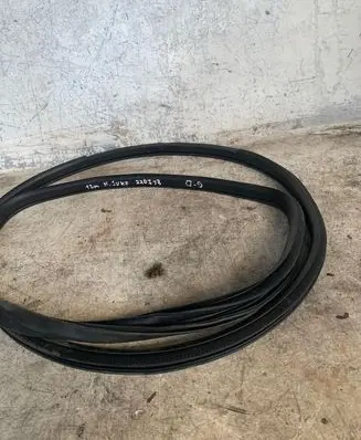 Nissan Juke I F15 Rubber seal rear door 