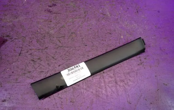Renault Laguna III Front door trim (molding) 822880002R
