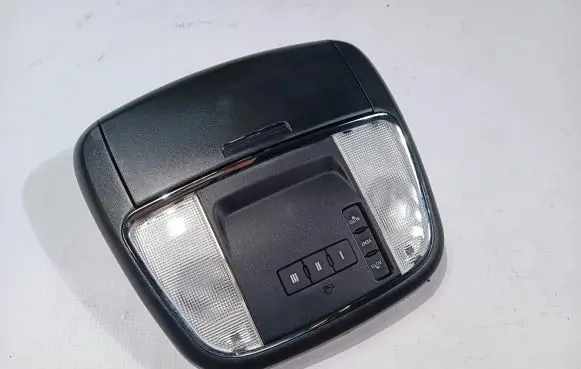 Dodge Charger Headlining lighting console trim 5PL42DX9AC