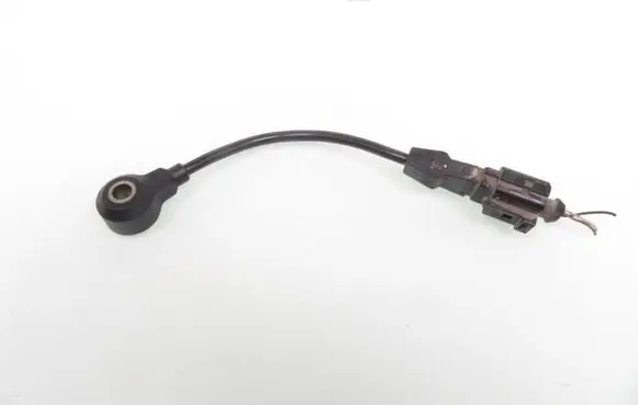 Seat Ibiza III (6L) Detonation knock sensor 06A905377D