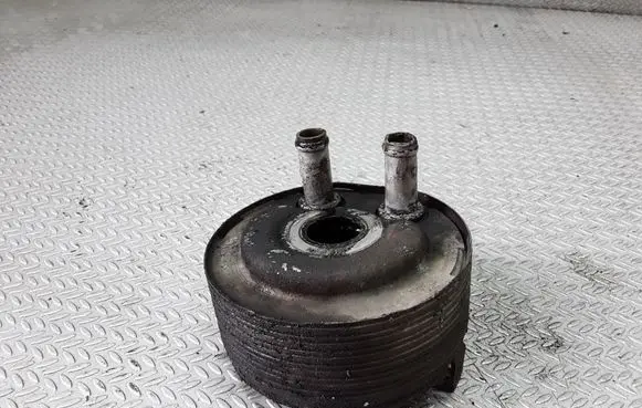 Oil filter mounting bracket