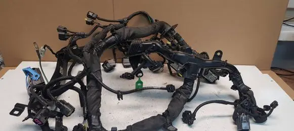 Engine installation wiring loom