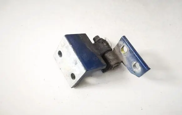 Rear door lower hinge