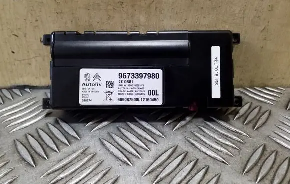 Peugeot 3008 I Other control units/modules 9673397980