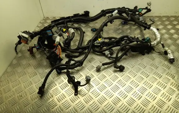 Nissan Juke II F16 Engine installation wiring loom 240118241S