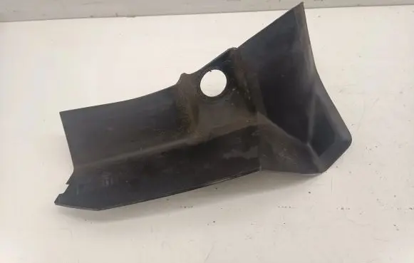 Rear/tail light trim molding
